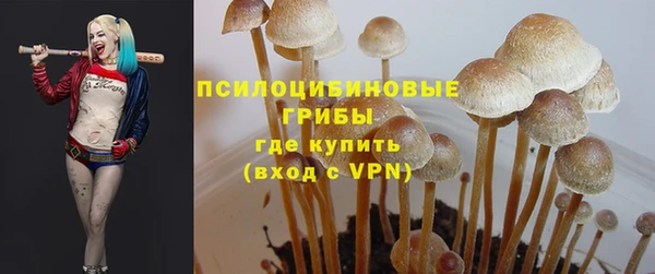 spice Нягань