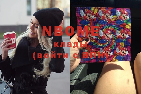 твердый Няндома