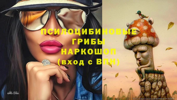 spice Нягань