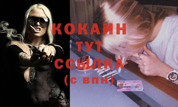твердый Няндома