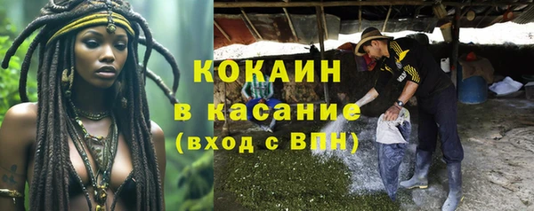 твердый Няндома