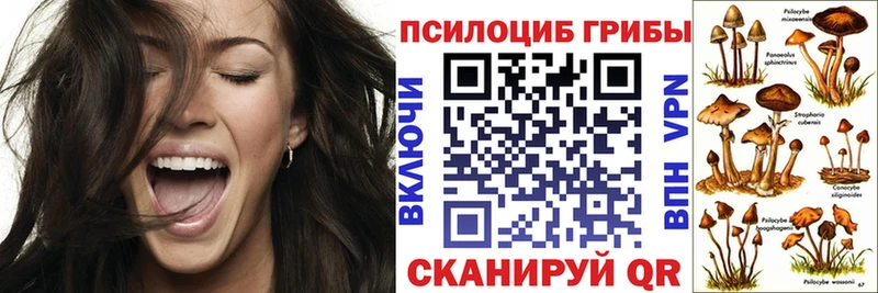 где купить наркоту Среднеколымск Галлюциногенные грибы прущие грибы